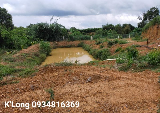 BÁN SIÊU PHẨM DÀNH CHO ACE MÊ SẦU RIÊNG TẠI QUỐC OAI, ĐẠ TẺH, LÂM ĐỒNG.