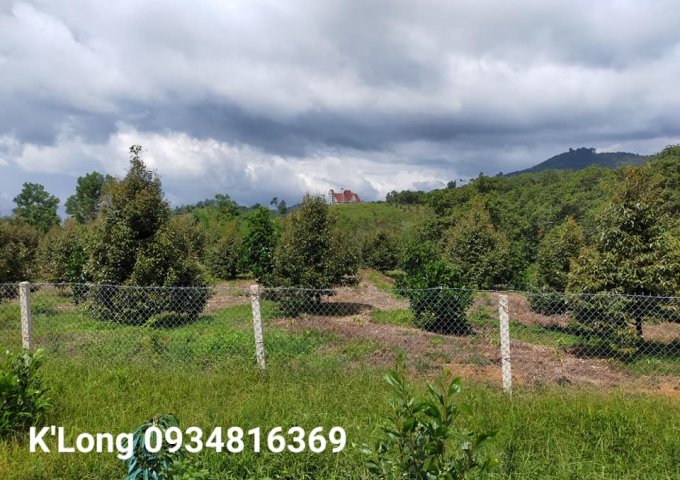 BÁN SIÊU PHẨM DÀNH CHO ACE MÊ SẦU RIÊNG TẠI QUỐC OAI, ĐẠ TẺH, LÂM ĐỒNG.