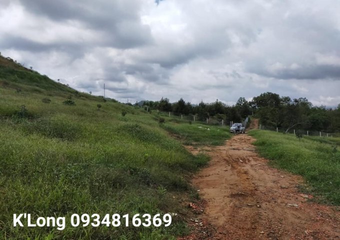 BÁN SIÊU PHẨM DÀNH CHO ACE MÊ SẦU RIÊNG TẠI QUỐC OAI, ĐẠ TẺH, LÂM ĐỒNG.