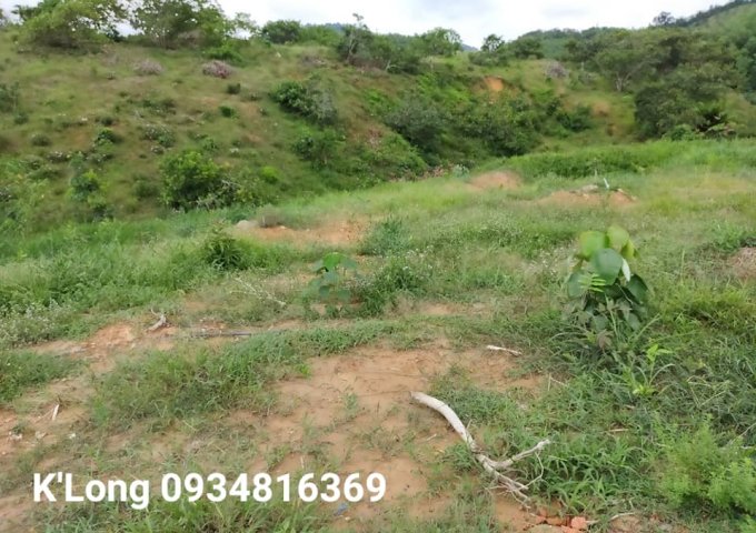 BÁN SIÊU PHẨM DÀNH CHO ACE MÊ SẦU RIÊNG TẠI QUỐC OAI, ĐẠ TẺH, LÂM ĐỒNG.