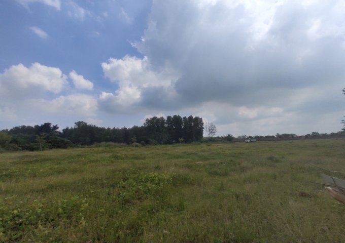 CẦN BÁN LÔ ĐẤT Ở GIANG ĐIỀN , TRẢNG BOM ,ĐỒNG NAI