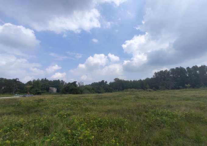 CẦN BÁN LÔ ĐẤT Ở GIANG ĐIỀN , TRẢNG BOM ,ĐỒNG NAI