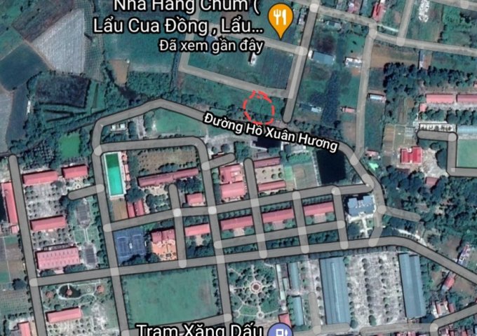 Chính chủ cần bán lô nhà vườn phường Tây Sơn, TP Tam Điệp, Ninh Bình ( khu Lẩu Chum )