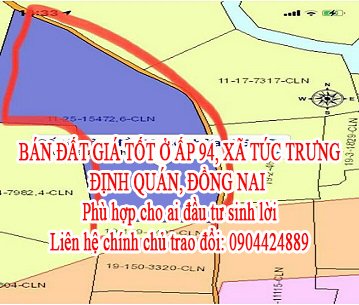 BÁN ĐẤT GIÁ TỐT Ở ẤP 94, XÃ TÚC TRƯNG, ĐỊNH QUÁN, ĐỒNG NAI