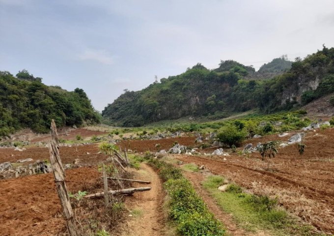 Bán lô đất tiềm năng tại Đồng Sang, Mộc Châu. ⛳Diện tích: 4000m2 ( Diện tích thực tế là 6000m2
