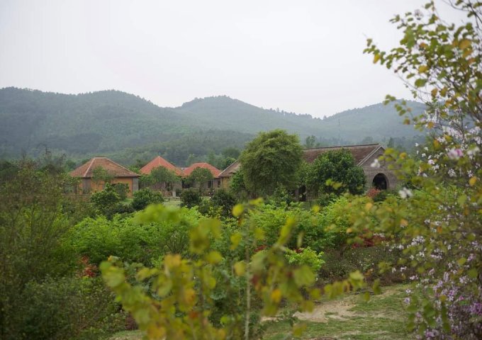 Bán lô siêu đẹp tại Thung Lũng Thanh Xuân, Ngọc Thanh, Vĩnh Phúc.  DT 1100m2, full thổ cư
