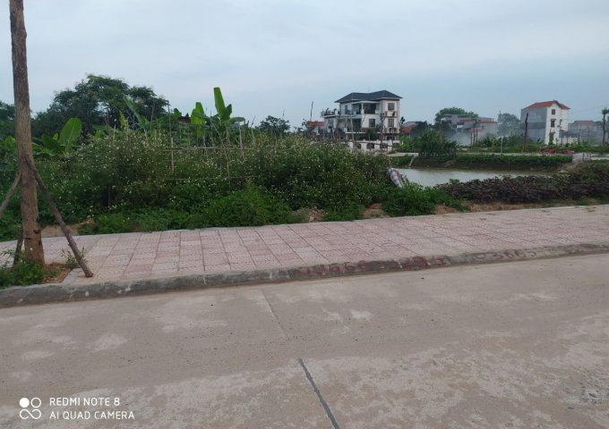 Bán đất tại Phường Hội Hợp, Vĩnh Yên, Vĩnh Phúc diện tích 103m2 giá 1,77 tỷ