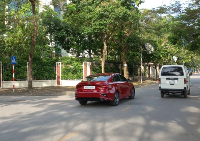 HÀNG HIẾM CỦA MÙA COVID