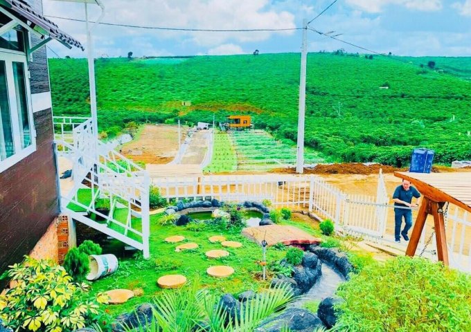 Gia đình có đất cần bán ở Định Quán, Đồng Nai,diện tích 1005m2, giá chỉ 490 triệu