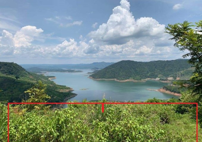 1102: 1.8ha view hồ và suối Tà Đùng, diện tích thực tế 4ha giá chỉ 11 tỷ. 
