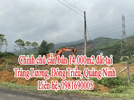 Chính chủ cần bán đất tạiTràng Lương – Đông Triều – T.Quảng Ninh.