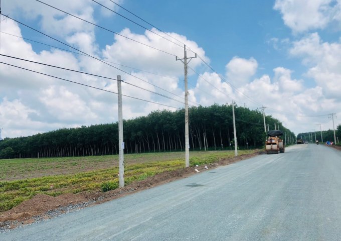 CHÍNH CHỦ CẦN BÁN ĐẤT TẠI 756 MINH LẬP-CHƠN THÀNH-BÌNH PHƯỚC