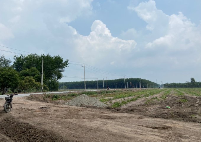 CHÍNH CHỦ CẦN BÁN ĐẤT TẠI 756 MINH LẬP-CHƠN THÀNH-BÌNH PHƯỚC