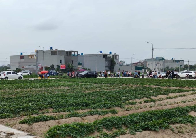 BÁN ĐẤT NỀN ĐẤU GIÁ NHÀ NƯỚC KHU DÂN CƯ MỚI MY THỮ XÃ VĨNH HỒNG, BÌNH GIANG, HẢI DƯƠNG