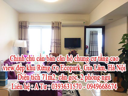 Chính chủ cần bán căn hộ chung cư tầng cao, view đẹp khu Rừng Cọ Ecopark, Gia Lâm, Hà Nội.