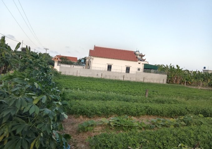 BÁN ĐẤT NỀN TẠI THÁI THUỴ -THÁI BÌNH