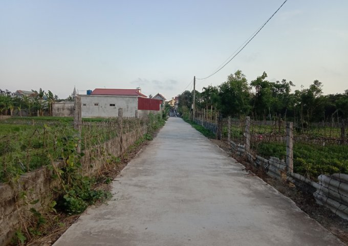 BÁN ĐẤT NỀN TẠI THÁI THUỴ -THÁI BÌNH