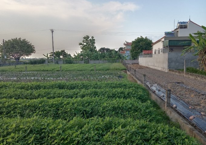 BÁN ĐẤT NỀN TẠI THÁI THUỴ -THÁI BÌNH