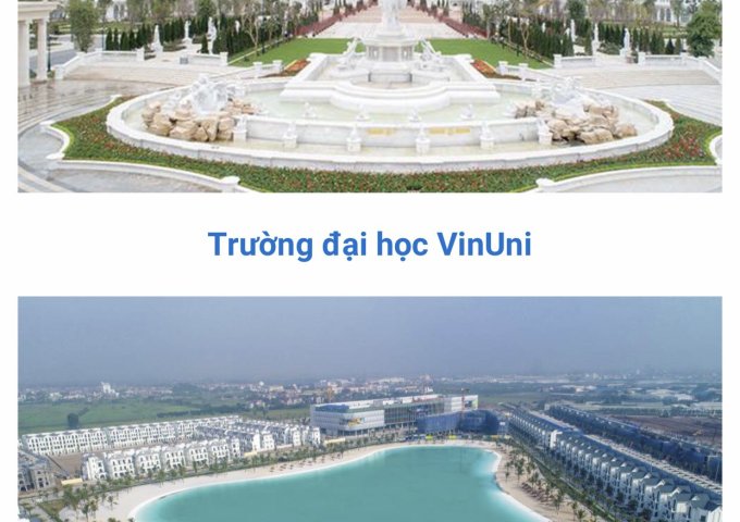 Chính chủ gửi bán căn biệt thự song lập San Hô 6 thuộc dự án vinhomes ocean park