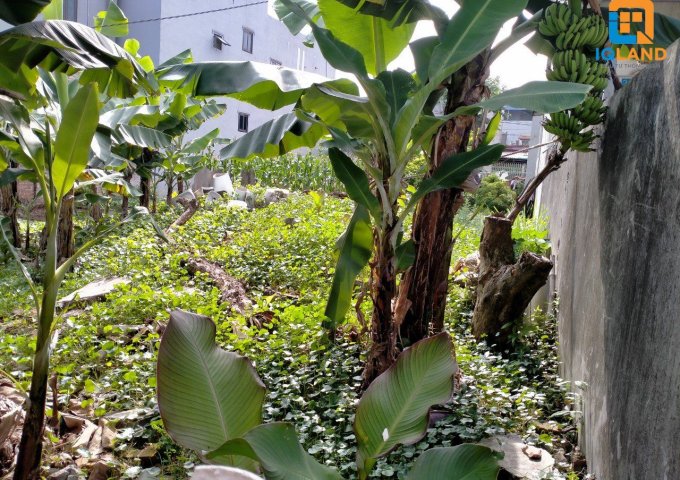 Chính chủ tôi bán đất 52m2 tại Lương Nỗ xã Tiên Dương Đông Anh Hà Nội.