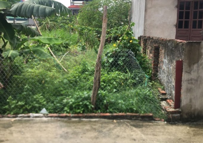 Bán nhanh lô đất thôn Đạc Tài, xã Mai Đình, huyện Sóc Sơn, tài chính nhỉnh hơn 1 tỷ. LH 0969922805