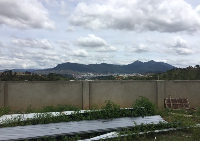 CẦN BÁN GẤP LÔ ĐẤT FULL THỔ CƯ – NGAY TRUNG TÂM TP ĐÀ LẠT. LIÊN HỆ: 0974184245