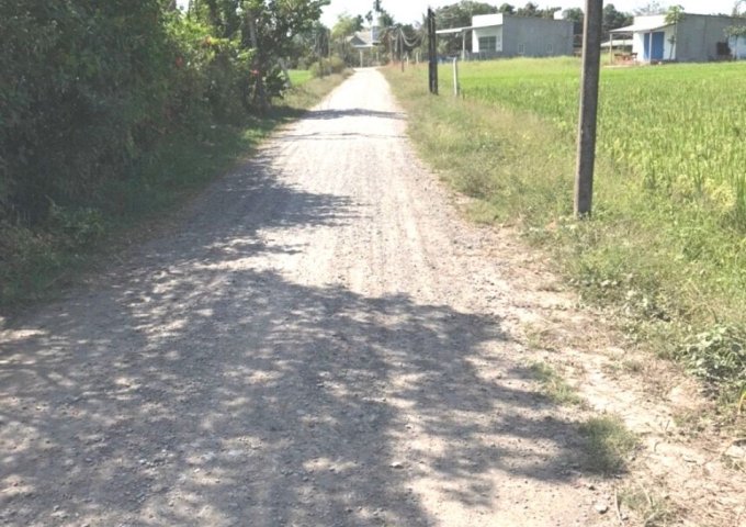 Đất nền 175tr Mỹ Hạnh Long An Cát Tường Phú Sinh