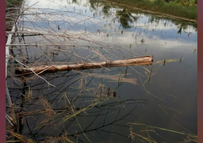 ** HOT HOT HOT *** CHÍNH CHỦ CẦN BÁN NHÀ GIÁ RẺ Ở HUYỆN U MINH - CÀ MAU