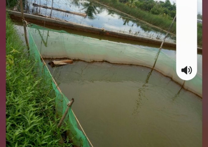 ** HOT HOT HOT *** CHÍNH CHỦ CẦN BÁN NHÀ GIÁ RẺ Ở HUYỆN U MINH - CÀ MAU