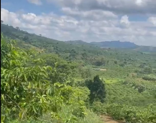 CẦN BÁN 8.7 SÀO ĐẤT VIEW NGHỈ DƯỠNG TẠI LIÊN ĐẦM – DI LINH – LÂM ĐỒNG. LIÊN HỆ: 0938672999