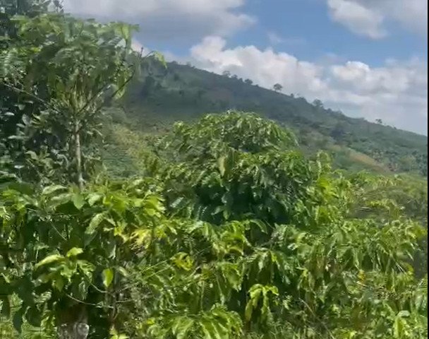 CẦN BÁN 8.7 SÀO ĐẤT VIEW NGHỈ DƯỠNG TẠI LIÊN ĐẦM – DI LINH – LÂM ĐỒNG. LIÊN HỆ: 0938672999