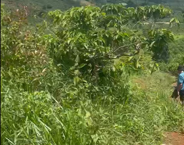 CẦN BÁN 8.7 SÀO ĐẤT VIEW NGHỈ DƯỠNG TẠI LIÊN ĐẦM – DI LINH – LÂM ĐỒNG. LIÊN HỆ: 0938672999