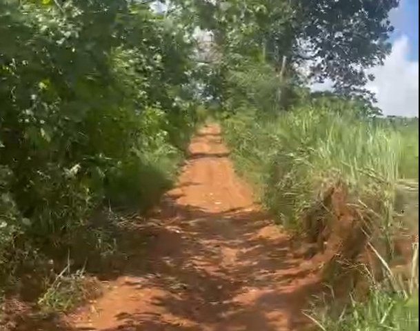 CẦN BÁN 8.7 SÀO ĐẤT VIEW NGHỈ DƯỠNG TẠI LIÊN ĐẦM – DI LINH – LÂM ĐỒNG. LIÊN HỆ: 0938672999