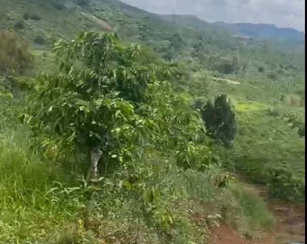 CẦN BÁN 8.7 SÀO ĐẤT VIEW NGHỈ DƯỠNG TẠI LIÊN ĐẦM – DI LINH – LÂM ĐỒNG. LIÊN HỆ: 0938672999