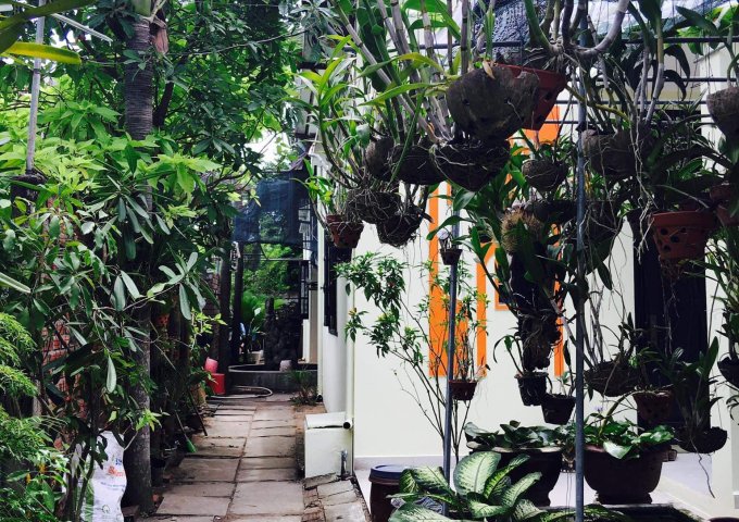 NHÀ CHÍNH CHỦ CẦN BÁN NHANH ĐỂ VỀ TỈNH KHÁC SINH SỐNG - MT HẢI THƯỢNG LÃN ÔNG, P. TÂN AN, TP. HỘI AN, QUẢNG NAM. LHCC: 097 781 4254