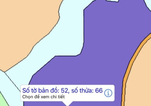 Chính chủ cần bán đất ở Xã Thanh Sơn, Huyện Định Quán, Đồng Nai