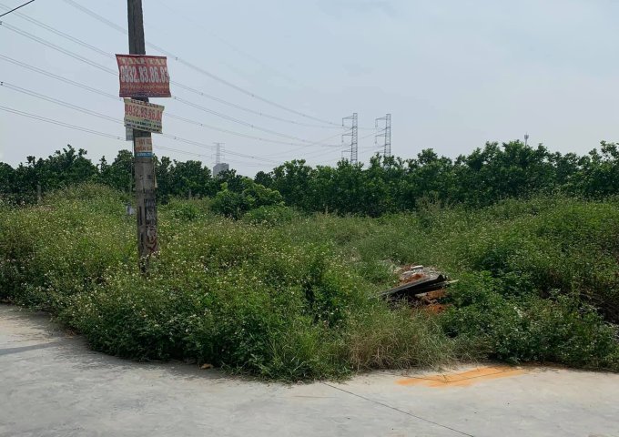 Siêu phẩm Nhạc Miếu-Lạc Hồng - Văn Lâm - Hưng Yên