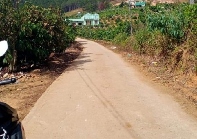 CHÍNH CHỦ CẦN BÁN LÔ ĐẤT ĐẸP XÃ NAM HÀ, HUYỆN LÂM HÀ, LÂM ĐỒNG.LIÊN HỆ: 0867710379