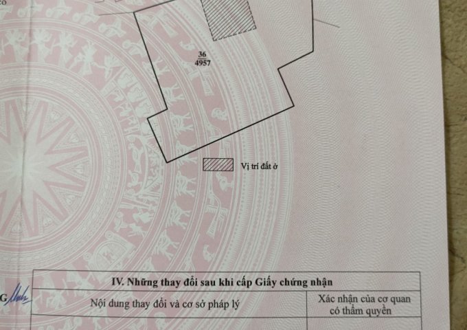 CHÍNH CHỦ CẦN BÁN LÔ ĐẤT ĐẸP XÃ NAM HÀ, HUYỆN LÂM HÀ, LÂM ĐỒNG.LIÊN HỆ: 0867710379