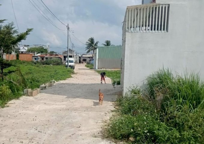 Đất Thổ Cư Gần Vòng Xoay Suối Cát- Xã Tiến Lợi- Phan Thiết- Bình Thuận