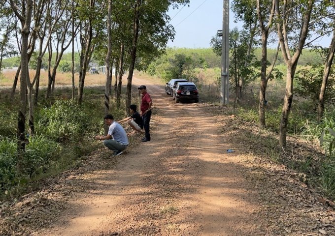 GIÁP CHỦ CẦN BÁN ĐẤT LONG NGUYÊN, BÀU BÀNG, BÌNH DƯƠNG