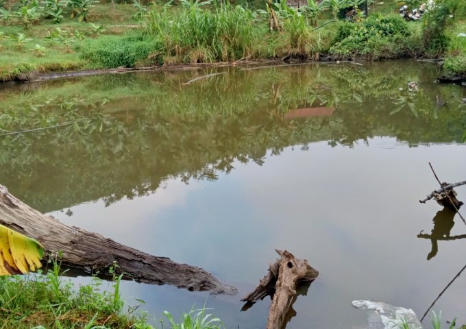 CẦN BÁN 2 LÔ ĐẤT LIỀN KỀ GIÁ RẺ NHẤT KHU VỰC XÃ ĐẠ K'NÀNG - ĐAM RÔNG - LÂM ĐỒNG. LIÊN HỆ: 0393737382