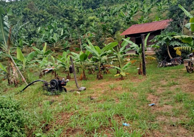 CẦN BÁN 2 LÔ ĐẤT LIỀN KỀ GIÁ RẺ NHẤT KHU VỰC XÃ ĐẠ K'NÀNG - ĐAM RÔNG - LÂM ĐỒNG. LIÊN HỆ: 0393737382