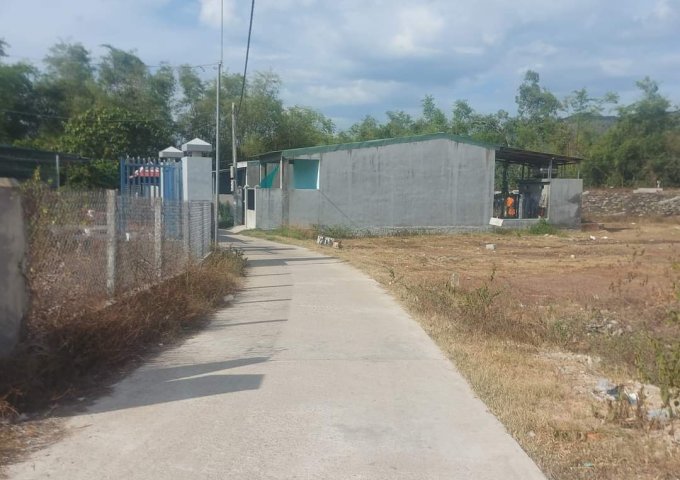 VỪA TÁCH THỬA XONG. GIÁ F1 CHO NHÀ ĐẦU TƯ. 3 LÔ LIỀN KỀ TẠI BÌNH AN 2, PHƯỚC THÀNH, TUY PHƯỚC, BÌNH ĐỊNH