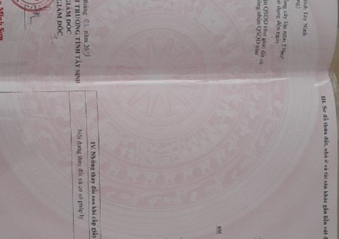 BÁN ĐẤT GIÁ ĐẦU TƯ TẠI ẤP THANH BÌNH, XÃ AN BÌNH , CHÂU THÀNH, TÂY NINH