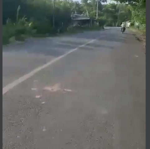 BÁN ĐẤT GIÁ ĐẦU TƯ TẠI ẤP THANH BÌNH, XÃ AN BÌNH , CHÂU THÀNH, TÂY NINH