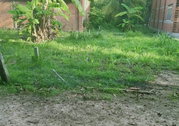 BÁN ĐẤT GIÁ ĐẦU TƯ TẠI ẤP THANH BÌNH, XÃ AN BÌNH , CHÂU THÀNH, TÂY NINH