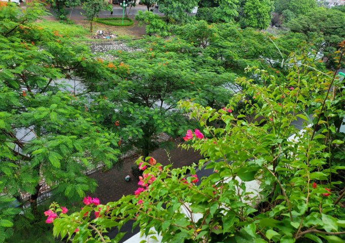 Chính chủ cần cho thuê cả tòa nhà mặt đường Quận Hoàng Mai