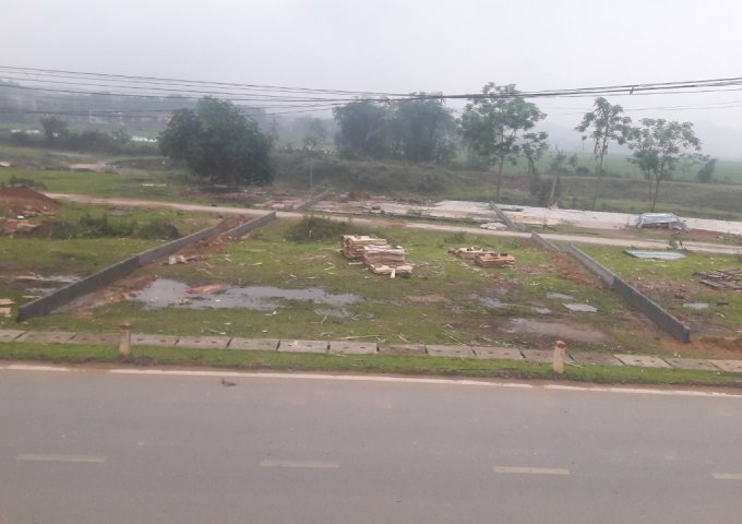 CHÍNH CHỦ CẦN BÁN LÔ ĐẤT VỊ TRÍ ĐẸP TẠI BĂNG 1 ĐƯỜNG TỈNH LỘ 316 KHU HÀ BIÊN XÃ VÕ MIẾU , HUYỆN THANH SƠN, PHÚ THỌ