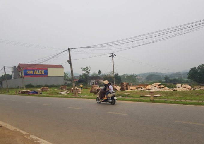 CHÍNH CHỦ CẦN BÁN LÔ ĐẤT VỊ TRÍ ĐẸP TẠI BĂNG 1 ĐƯỜNG TỈNH LỘ 316 KHU HÀ BIÊN XÃ VÕ MIẾU , HUYỆN THANH SƠN, PHÚ THỌ